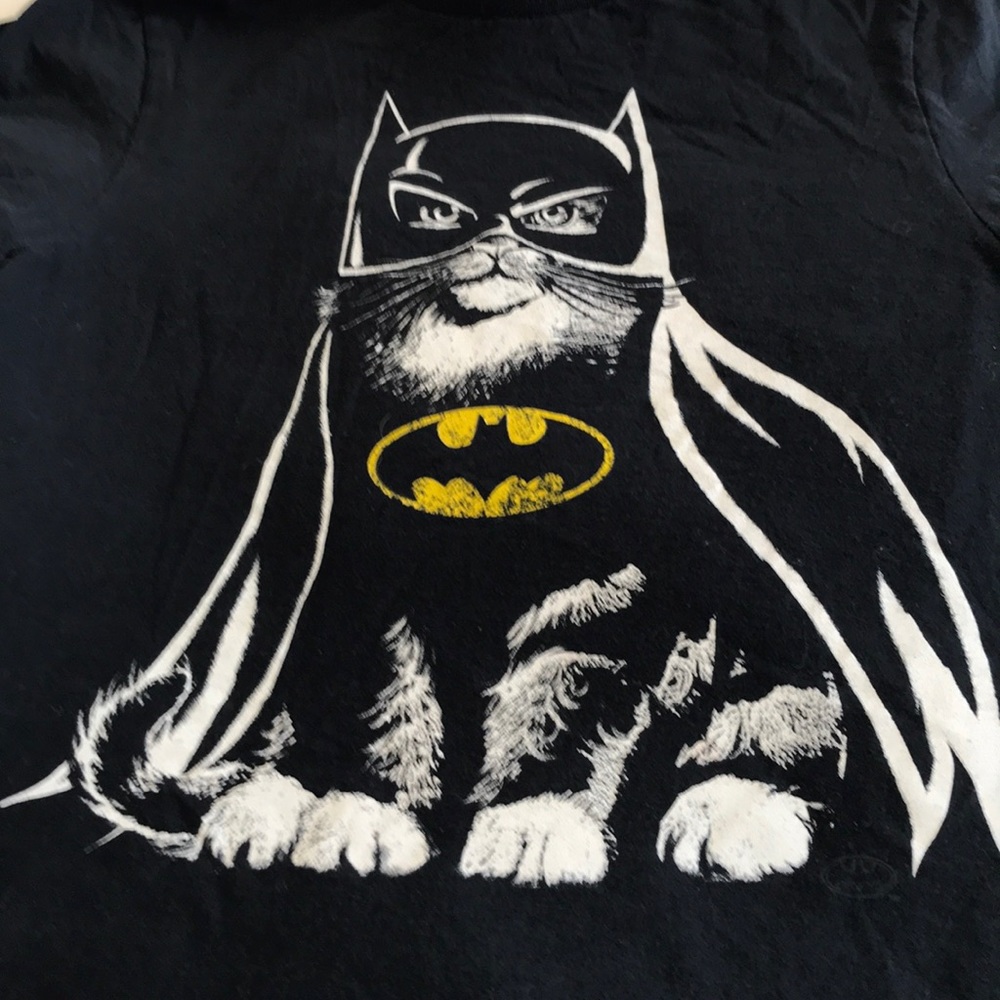 Batman cat - Picture 2 of 4